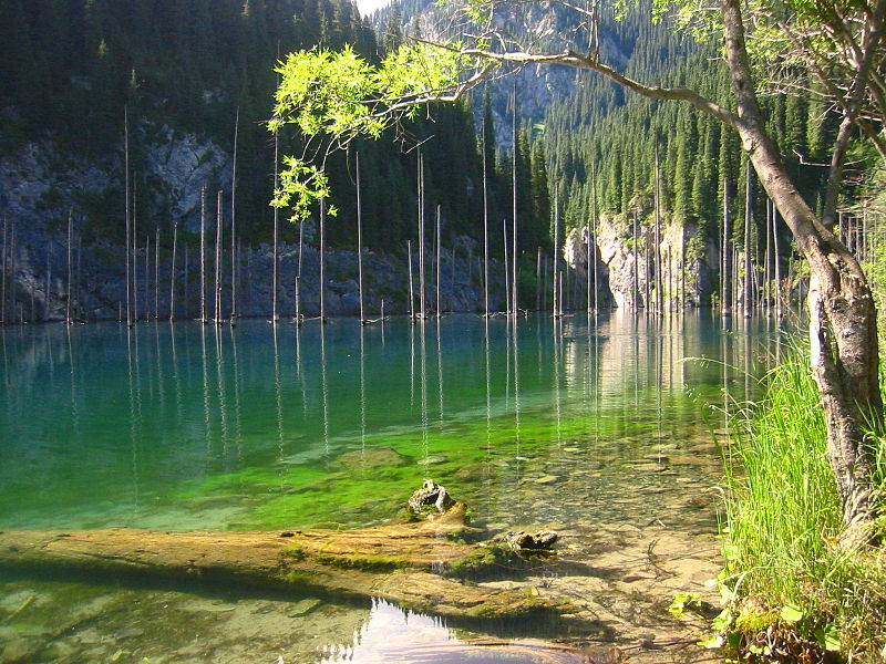 Озеро в Казахстане с деревьями